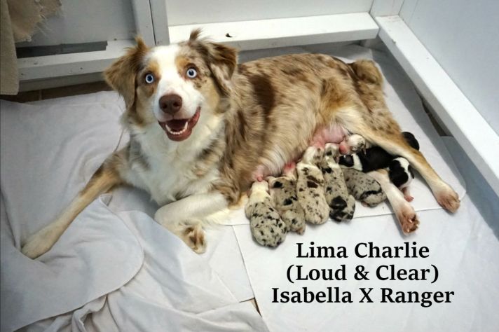 Lima Charlie Litter - Day 1 Group Picture